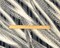 Black-Multi Poly Abstract Print Satin Stripe Chiffon Woven Fabric By the Yard